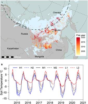 Siberian Ecosystems as Drivers of Cryospheric Climate Feedbacks in the Terrestrial Arctic